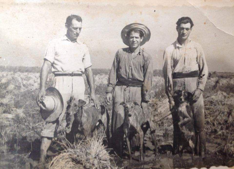 Tradición e innovación en la agricultura